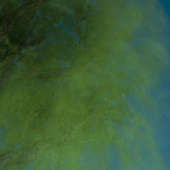 Into the Darkness of Night