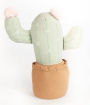 Cactus Pot Shelf Sitter