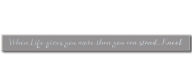 Title: When Life Gives More Skinny Sign w Foil