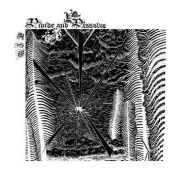 Title: TFW, Artist: Divide and Dissolve