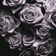 Title: With Love, Artist: Zomby