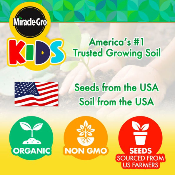 Miracle Gro Kids DIY Flower Growing Kit