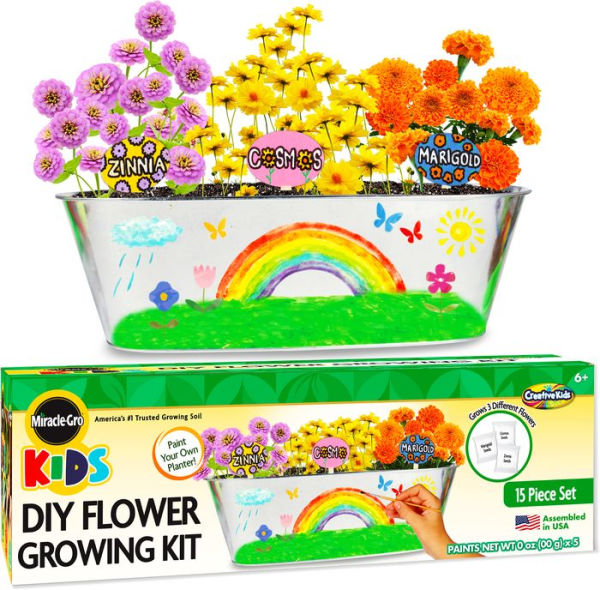 Miracle Gro Kids DIY Flower Growing Kit