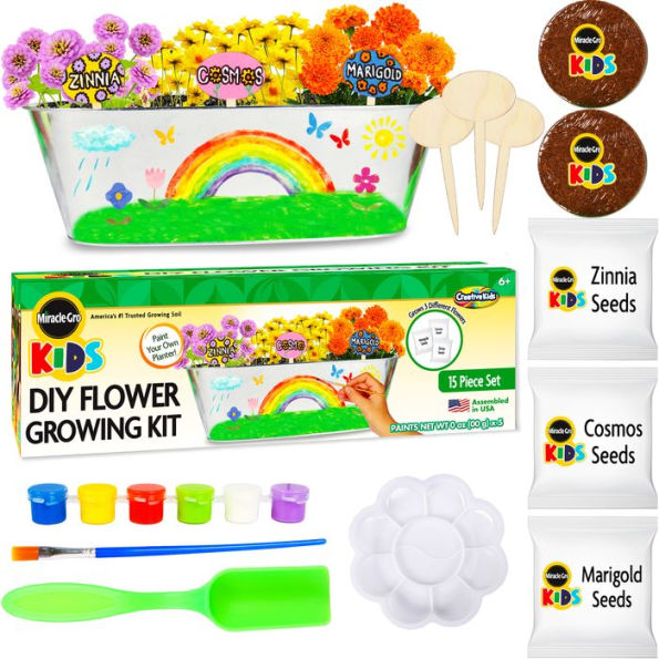 Miracle Gro Kids DIY Flower Growing Kit