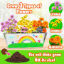 Alternative view 9 of Miracle Gro Kids DIY Flower Growing Kit