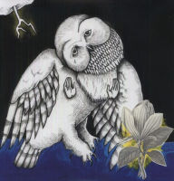 Title: Magnolia Electric Co., Artist: Songs: Ohia