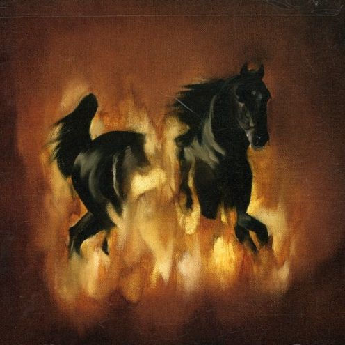 the Besnard Lakes Are Dark Horse