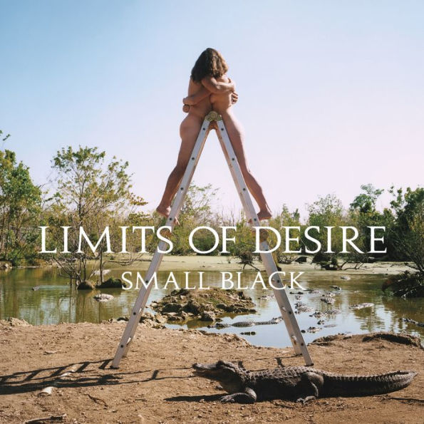 Limits of Desire