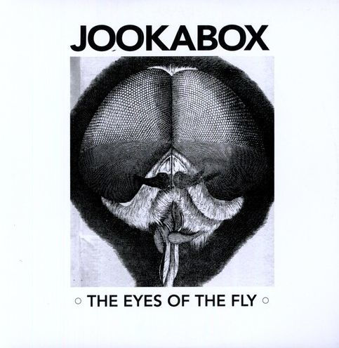 The Eyes of the Fly