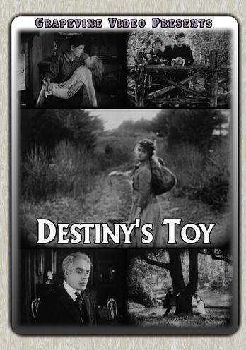 Destiny's Toy