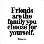 Magnet - Friends are the family you choose for yourself.