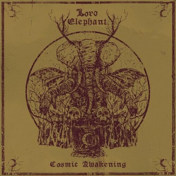 Cosmic Awakening