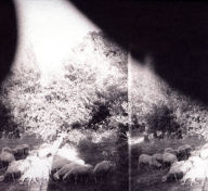Title: Asunder, Sweet and Other Distress, Artist: Godspeed You! Black Emperor