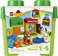 Title: LEGO DUPLO All-in-One-Gift-Set 10570