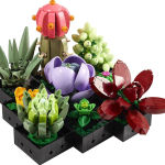 Alternative view 13 of LEGO Icons Succulents 10309