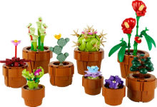 Alternative view 2 of LEGO Icons Tiny Plants 10329