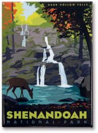 Title: Shenandoah NP Dark Hollow Falls Magnet