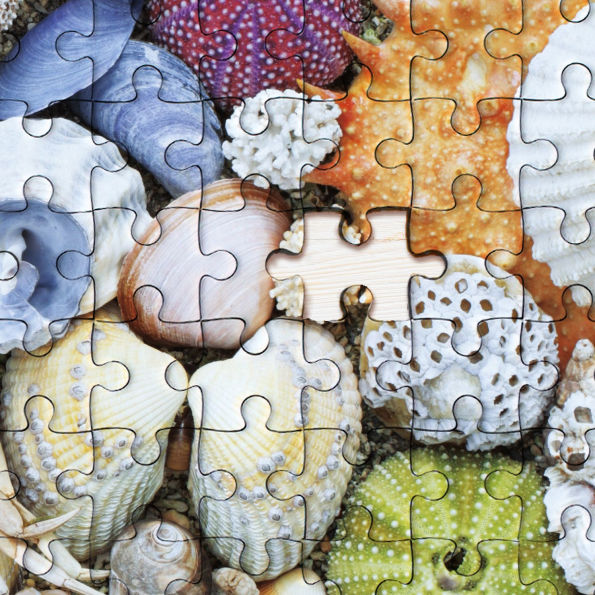 1000 Piece Seashore Puzzle