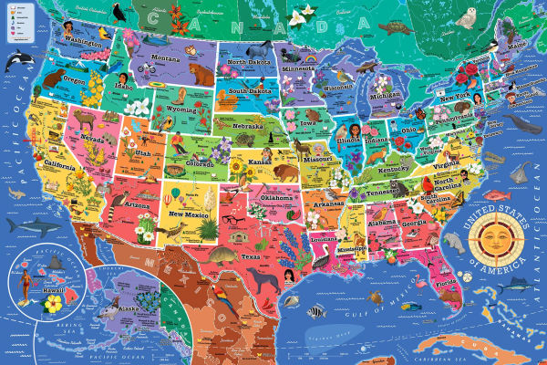850 Piece Map of USA 2.0 Puzzle