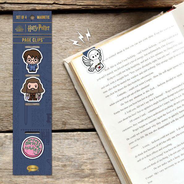 Harry Potter Happy Birthday Harry Page Clips set of 4