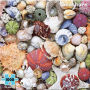 1000 Piece Seashore Puzzle