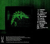 Alternative view 2 of Chameleon