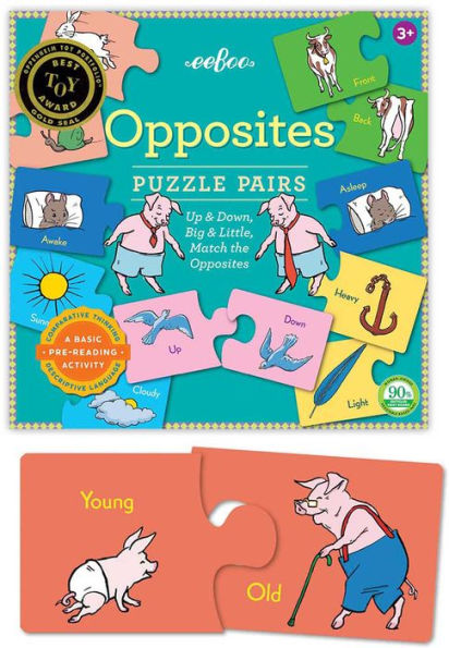 Opposites Puzzle Pairs