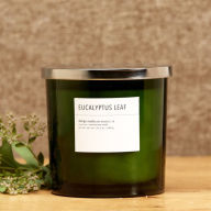 Title: Eucalyptus Leaf 3-Wick Candle - 22 oz