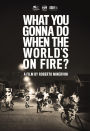 What You Gonna Do When the World's on Fire?