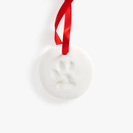 Title: Pet Impression Ornament Kit