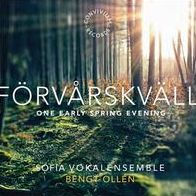 F¿¿rv¿¿rskv¿¿ll: One Early Spring Evening