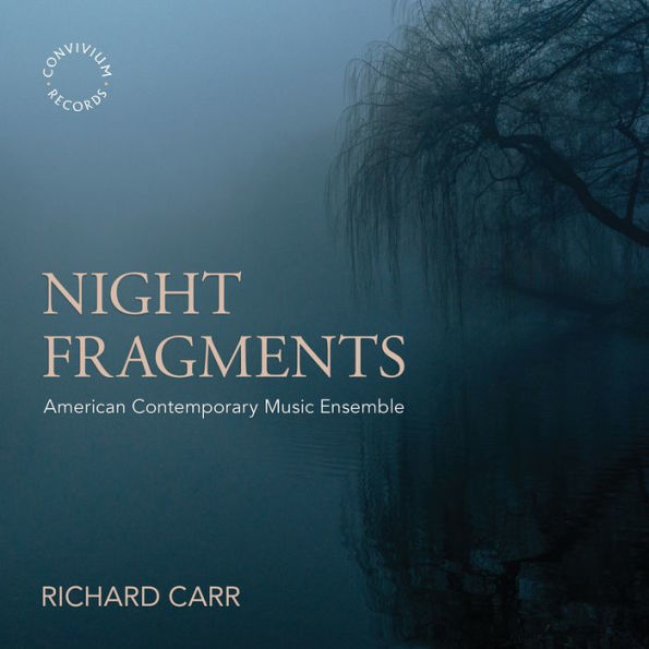 Night Fragments