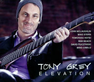Title: Elevation, Artist: Tony Grey