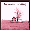 Title: Passion Train, Author: Salamander Crossing