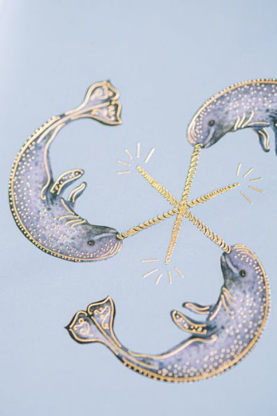 Narwhal Notebook Duo