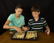 Alternative view 4 of Premier Backgammon