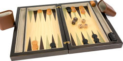 Alternative view 6 of Premier Backgammon