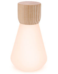 Title: LED Cordless Bulb Light White Ash Wood