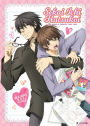 Sekai Ichi Hatsukoi: The World's Greatest First Love - Seasons One and Two + OVA