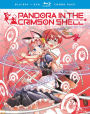 Pandora In Crimson Shell Ghost Urn: Comp Series