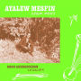 Good Aderegechegn