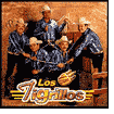 Los Tigrillos