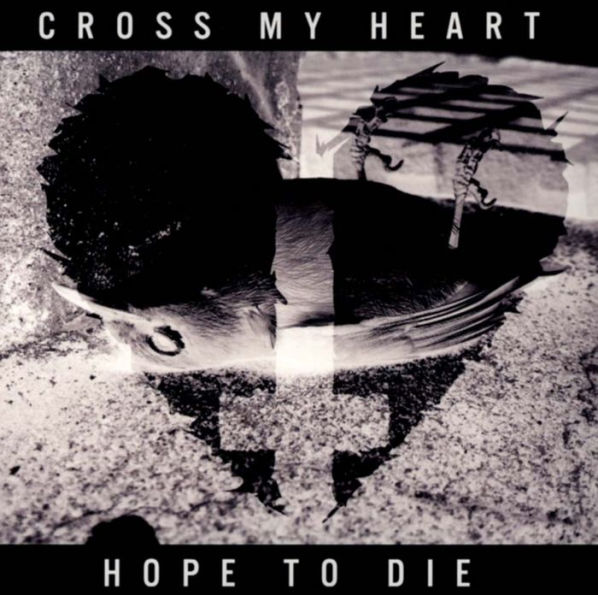 Cross My Heart Hope to Die