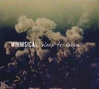 Sleep To Dream