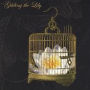 Gilding the Lily