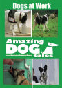 Amazing Dog Tales: Dogs at Work