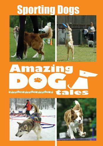 Amazing Dog Tales: Sporting Dogs