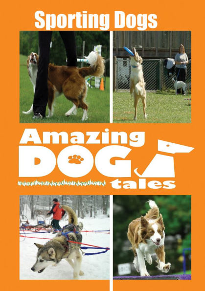 Amazing Dog Tales: Sporting Dogs
