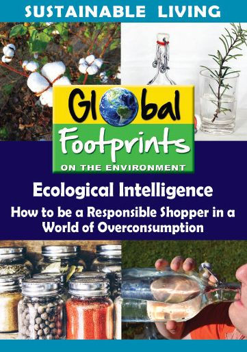 Ecological Intelligence: How to Be a Responsible Shopper in a World of Overconsumption