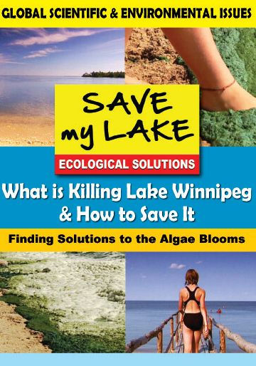 What Is Killing Lake Winnipeg and How to Save It